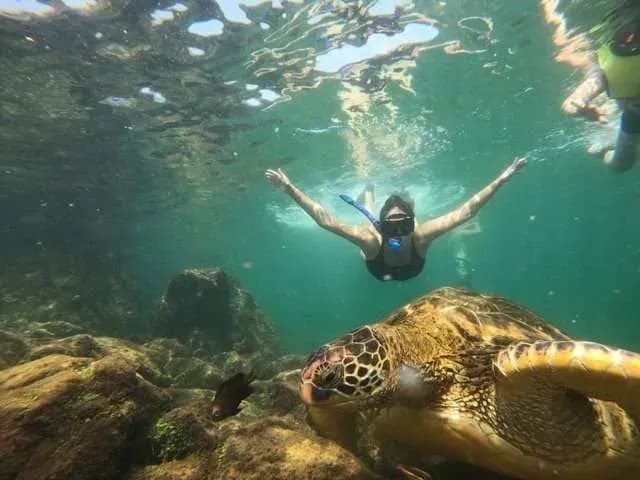 Santa Cruz and San Cristobal Tour: 4 days, 3 nights