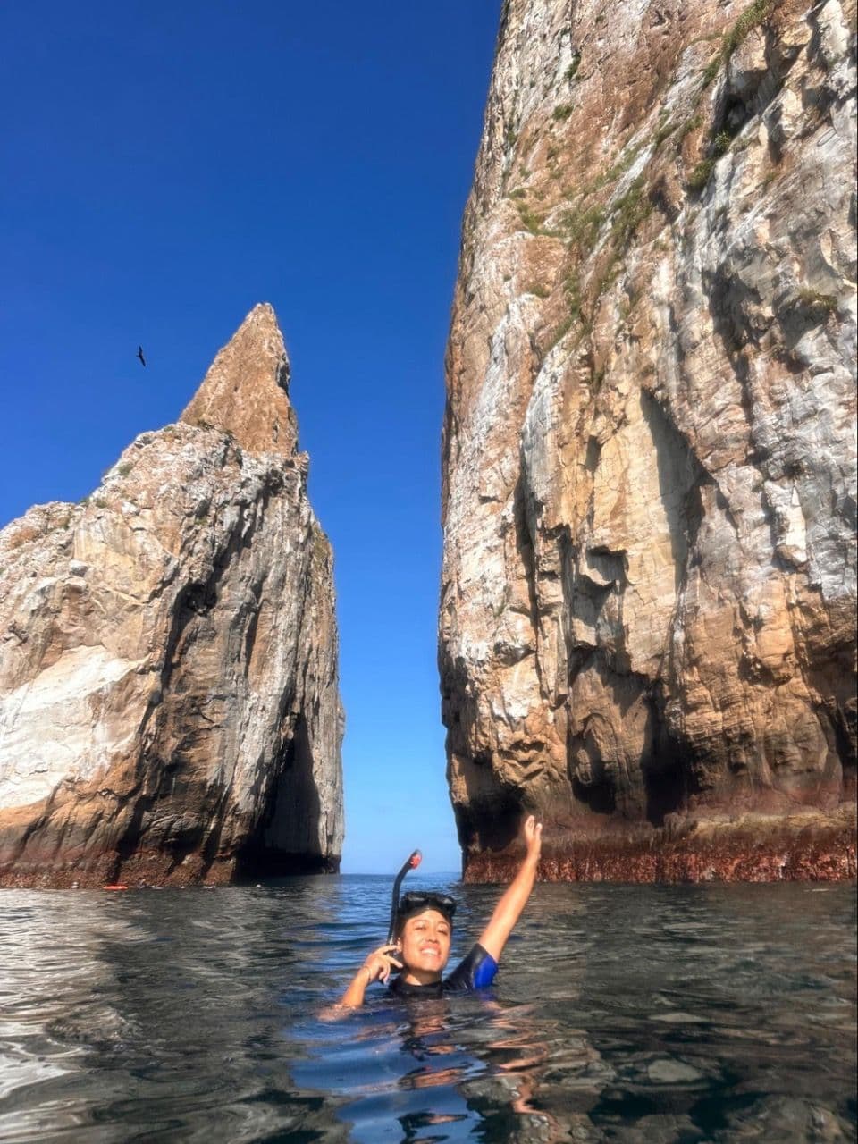 León Dormido (Kicker Rock) 2026: Nadar con tiburones martillo desde San Cristóbal