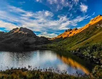 Cajas
